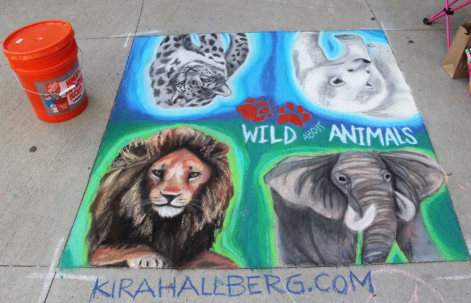 Save wild life and forests poster drawing on world wildlife day || step by  step for beginners - YouTube | Poster drawing, Wildlife day, Save animals  poster